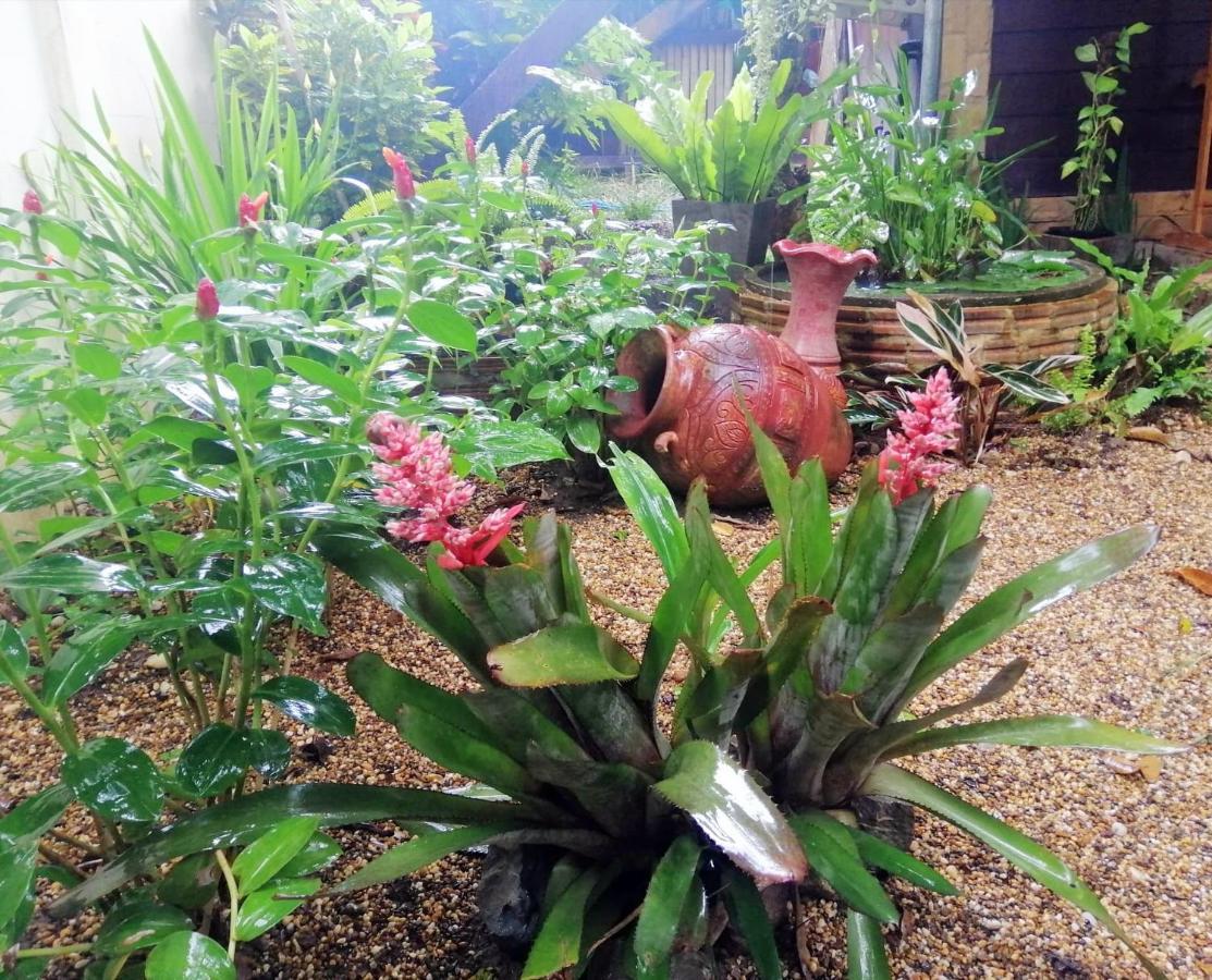 Homestay Chiangrai Чианграй Экстерьер фото