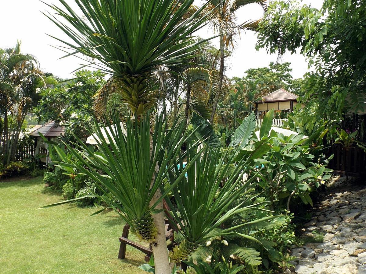 Homestay Chiangrai Чианграй Экстерьер фото